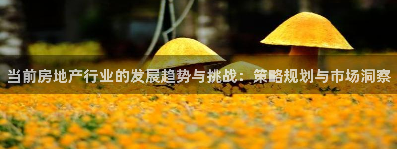 5新宝：当前房地产行业的发展趋势与挑战：策略规划与市场洞察