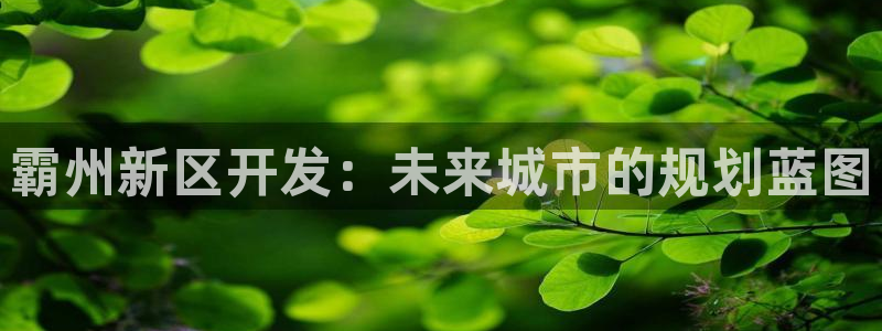 新宝5平台注册资金：霸州新区开发：未来城市的规划蓝图