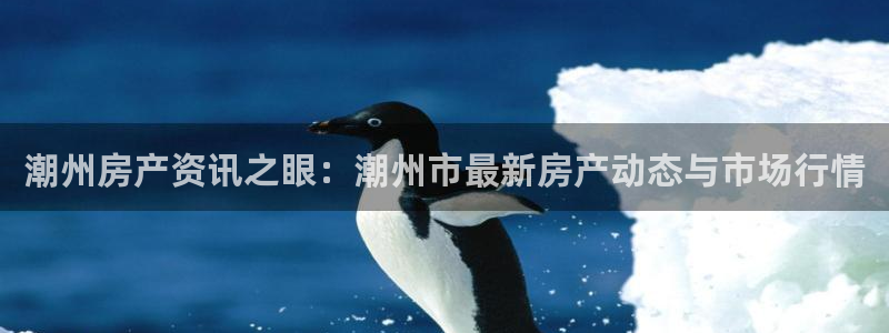 新宝5吴74OOO5：潮州房产资讯之眼：潮州市最新房产动态与