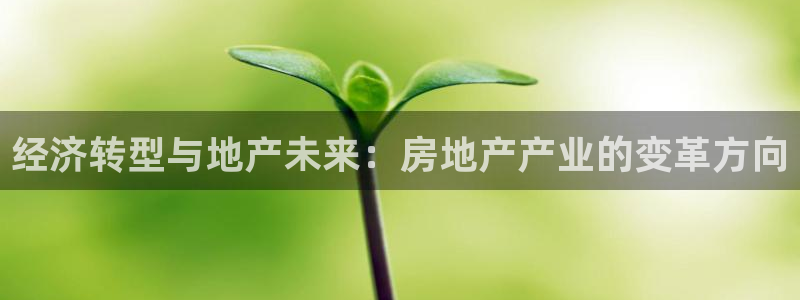 新宝5招商部：经济转型与地产未来：房地产产业的变革方向