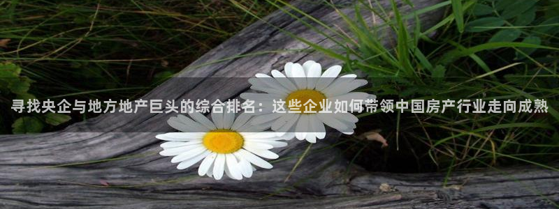 新宝5下载app：寻找央企与地方地产巨头的综合排名：这些企业
