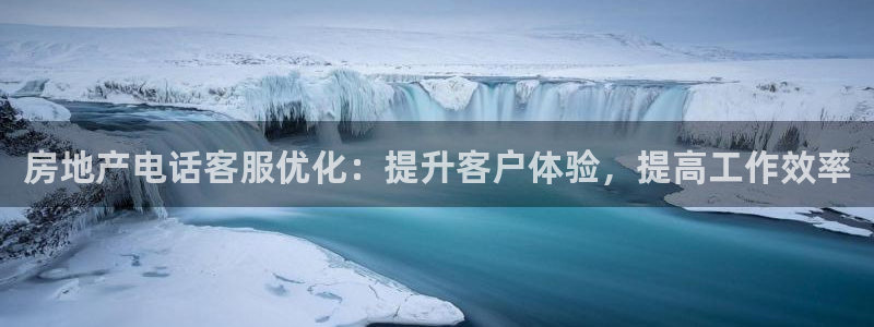 新宝5登录不了：房地产电话客服优化：提升客户体验，提高工作效