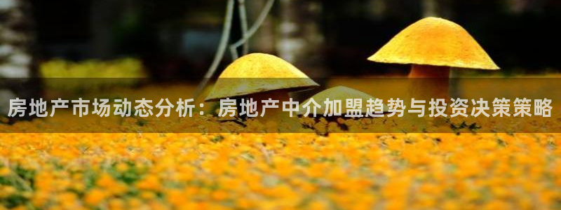 新宝5平台咋样：房地产市场动态分析：房地产中介加盟趋势与投资