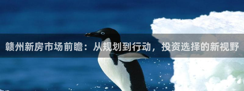 新宝5为啥开：赣州新房市场前瞻：从规划到行动，投资选择的新视