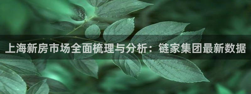 新宝5娱乐网址：上海新房市场全面梳理与分析：链家集团最新数据