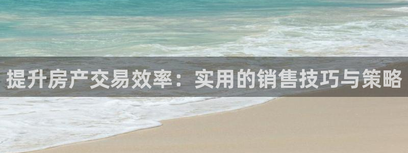 新宝5得74OOO5：提升房产交易效率：实用的销售技巧与策略