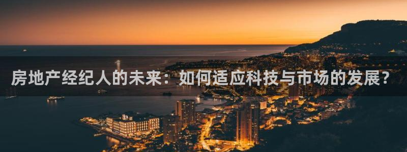 新宝5户端：房地产经纪人的未来：如何适应科技与市场的发展？