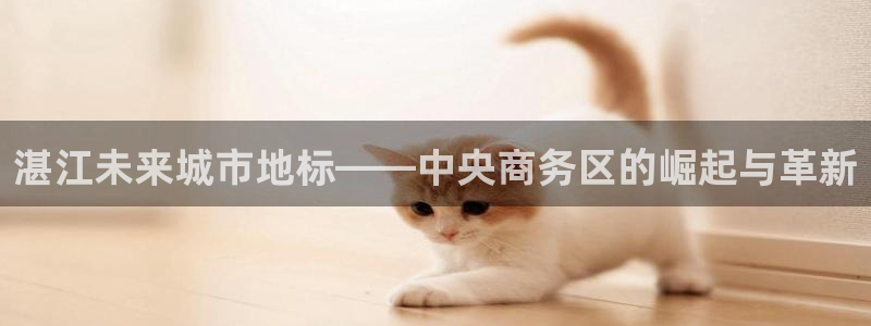 新宝cR一5：湛江未来城市地标——中央商务区的崛起与革新
