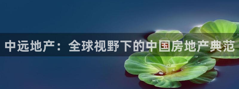 新宝5户端：中远地产：全球视野下的中国房地产典范