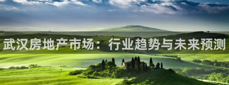 新宝5是什么样子的