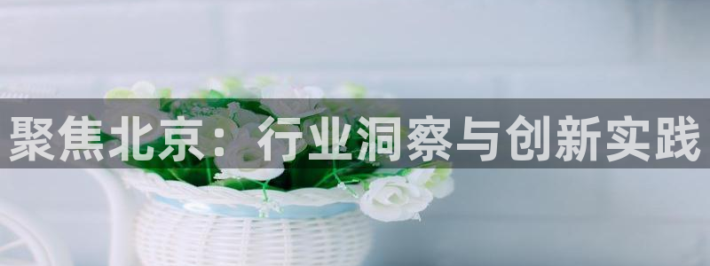 新宝5平台登陆