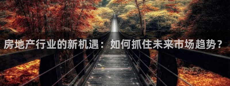 新宝5直属：房地产行业的新机遇：如何抓住未来市场趋势？