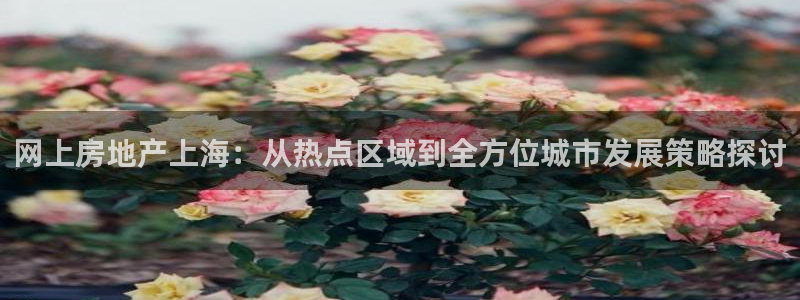新宝5 注册：网上房地产上海：从热点区域到全方位城市发展策略