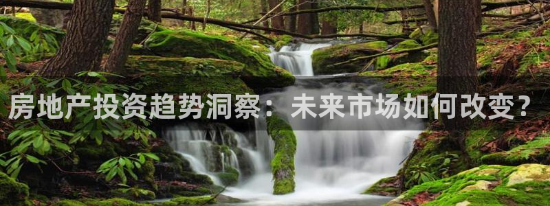 新宝rm5：房地产投资趋势洞察：未来市场如何改变？