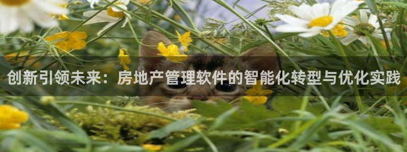 新宝5登录注册：创新引领未来：房地产管理软件的智能化转型与优