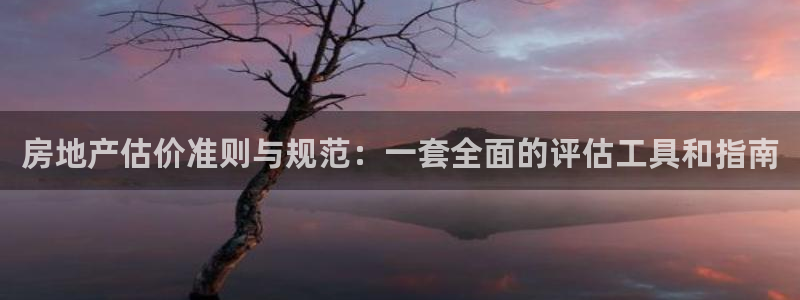 新宝5秒开：房地产估价准则与规范：一套全面的评估工具和指南