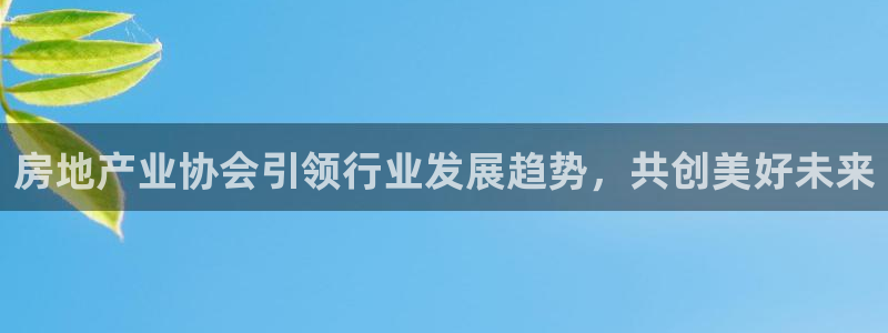 新宝5彩票娱乐平台：房地产业协会引领行业发展趋势，共创美好未