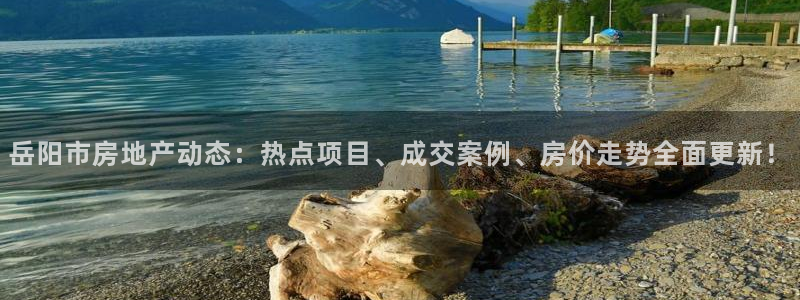 新宝m2O5O5O：岳阳市房地产动态：热点项目、成交案例、房