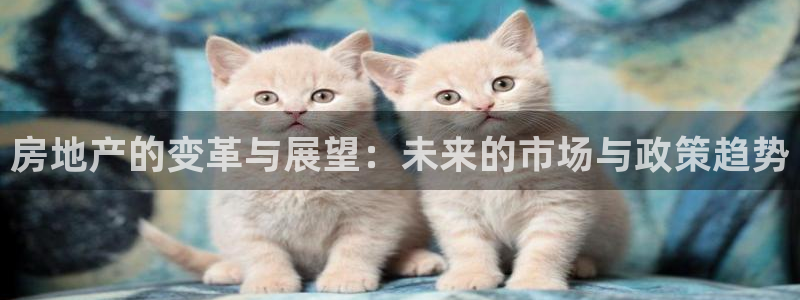新宝5注册测速登录：房地产的变革与展望：未来的市场与政策趋势