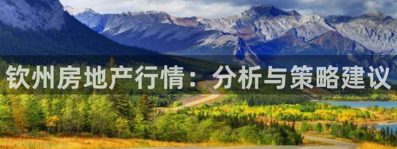 新宝5手机登陆：钦州房地产行情：分析与策略建议