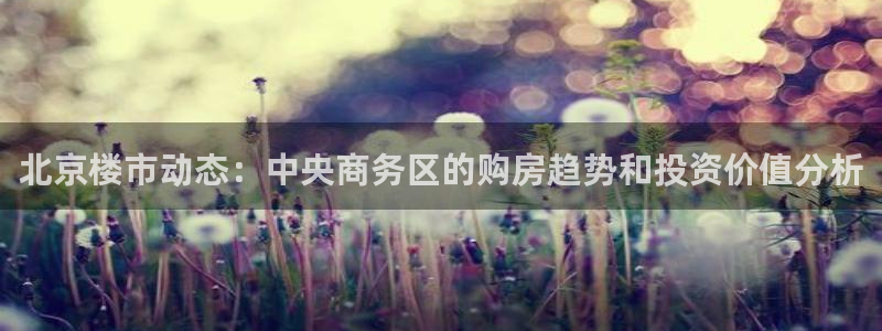 新宝5五：北京楼市动态：中央商务区的购房趋势和投资价值分析