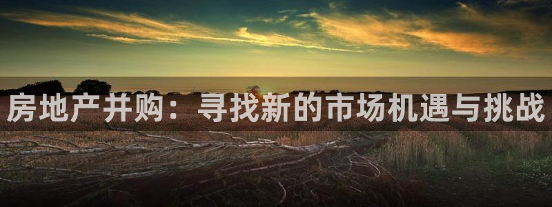 新宝5登录入口网址：房地产并购：寻找新的市场机遇与挑战