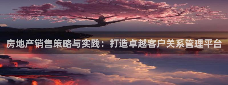 新宝gg5：房地产销售策略与实践：打造卓越客户关系管理平台