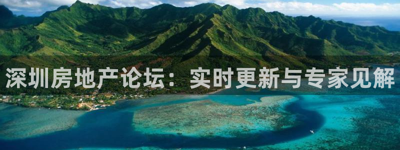 新宝股东王听2 5 5：深圳房地产论坛：实时更新与专家见解