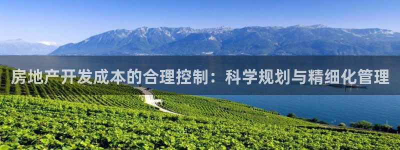 新宝b2O5O5O：房地产开发成本的合理控制：科学规划与精细