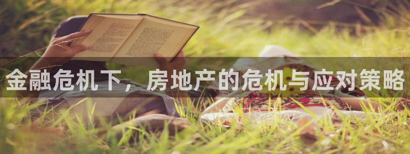 新宝5登录入口网址：金融危机下，房地产的危机与应对策略