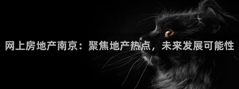新宝5登录平台：网上房地产南京：聚焦地产热点，未来发展可能性