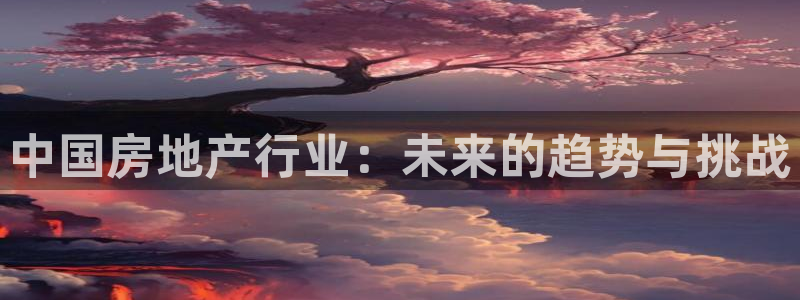 新宝5如何注册：中国房地产行业：未来的趋势与挑战
