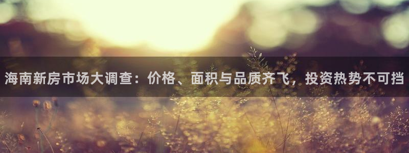 新宝5娱乐都：海南新房市场大调查：价格、面积与品质齐飞，投资