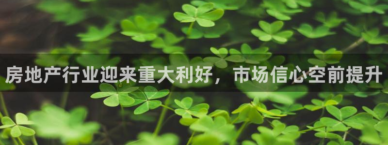 新宝5娱乐多：房地产行业迎来重大利好，市场信心空前提升