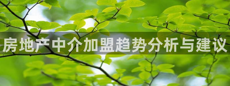 新宝5五：房地产中介加盟趋势分析与建议