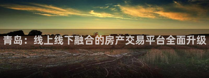 新宝G5：青岛：线上线下融合的房产交易平台全面升级