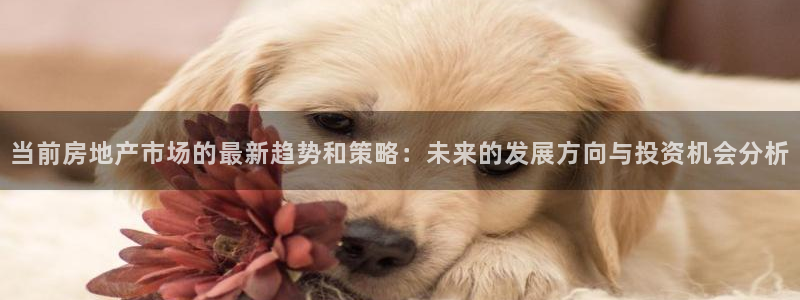 新宝5苹果手机下载：当前房地产市场的最新趋势和策略：未来的发