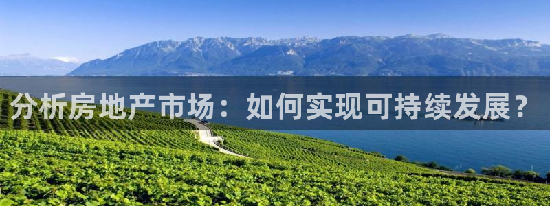 新宝5月：分析房地产市场：如何实现可持续发展？