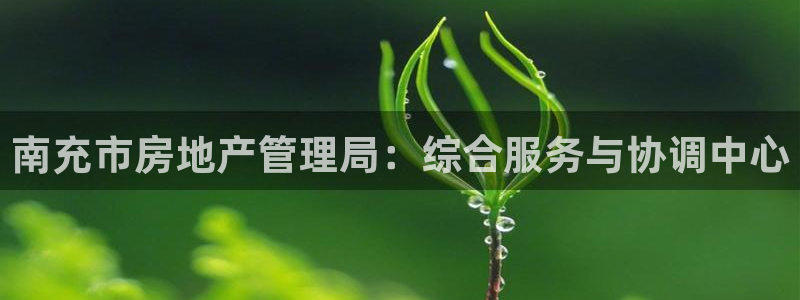 新宝5娱乐网址：南充市房地产管理局：综合服务与协调中心