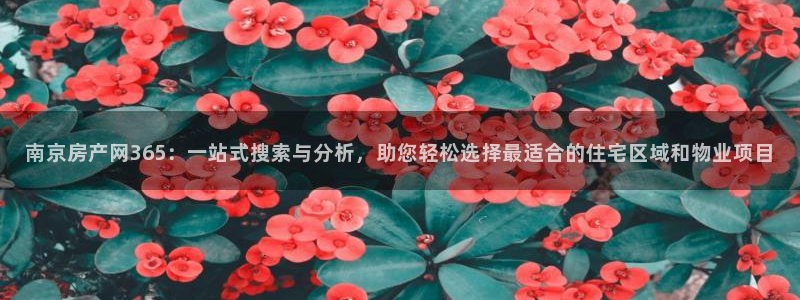 新宝5娱乐注册：南京房产网365：一站式搜索与分析，助您轻松
