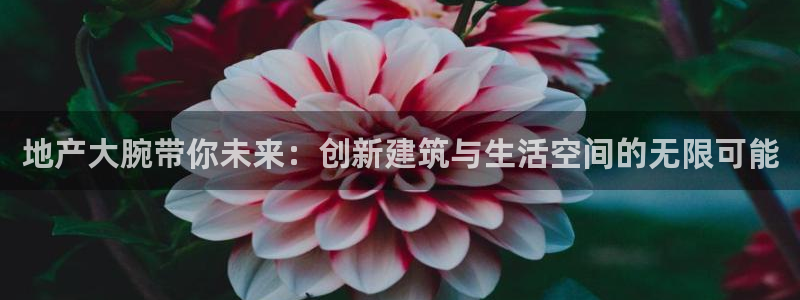 新宝5下载测试：地产大腕带你未来：创新建筑与生活空间的无限可