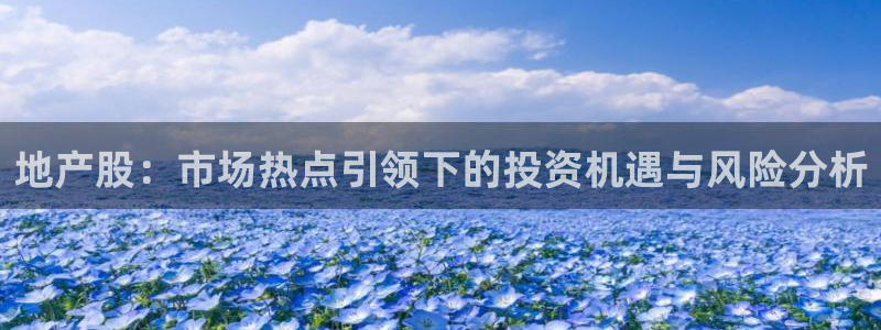新宝5娱乐招商：地产股：市场热点引领下的投资机遇与风险分析