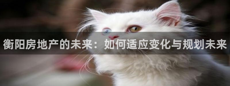 新宝5安卓版：衡阳房地产的未来：如何适应变化与规划未来