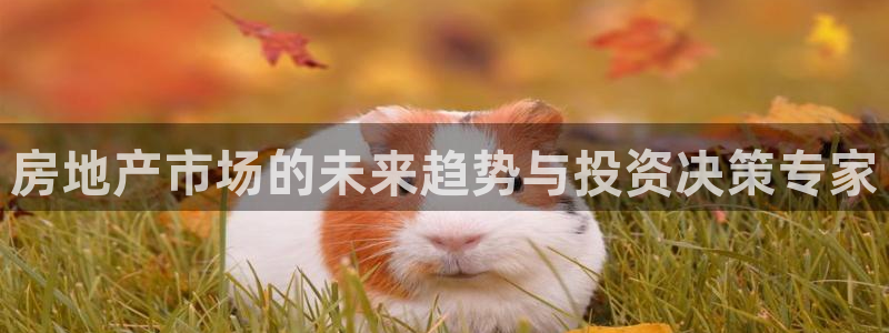 新宝5五：房地产市场的未来趋势与投资决策专家