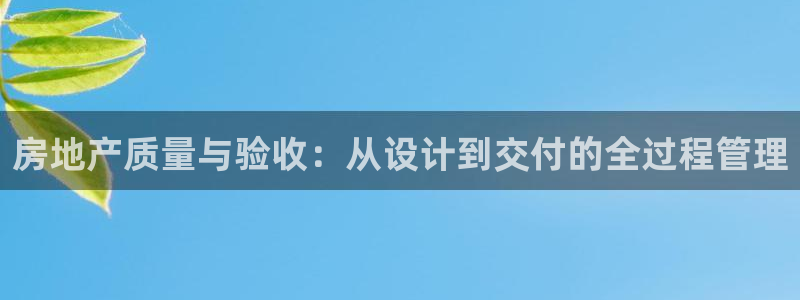 新5宝：房地产质量与验收：从设计到交付的全过程管理