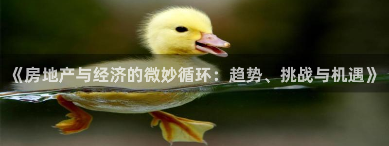 新宝5下载注册：《房地产与经济的微妙循环：趋势、挑战与机遇》