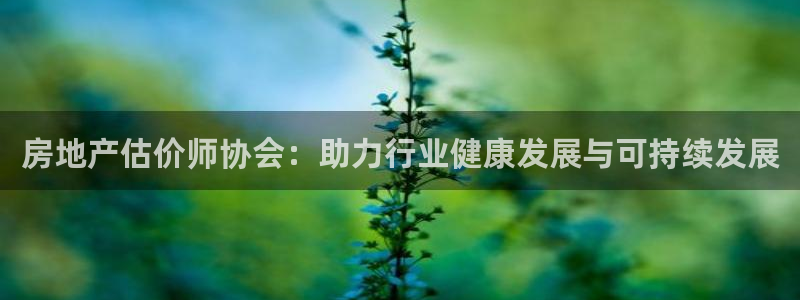 新宝5测试：房地产估价师协会：助力行业健康发展与可持续发展