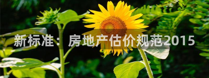 新宝5湫333 00：新标准：房地产估价规范2015