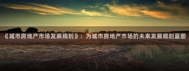 新宝新5：《城市房地产市场发展规划》：为城市房地产市场的未来