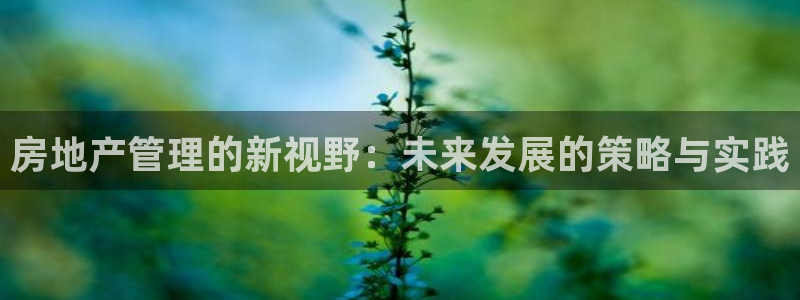 新宝5平台霸：房地产管理的新视野：未来发展的策略与实践